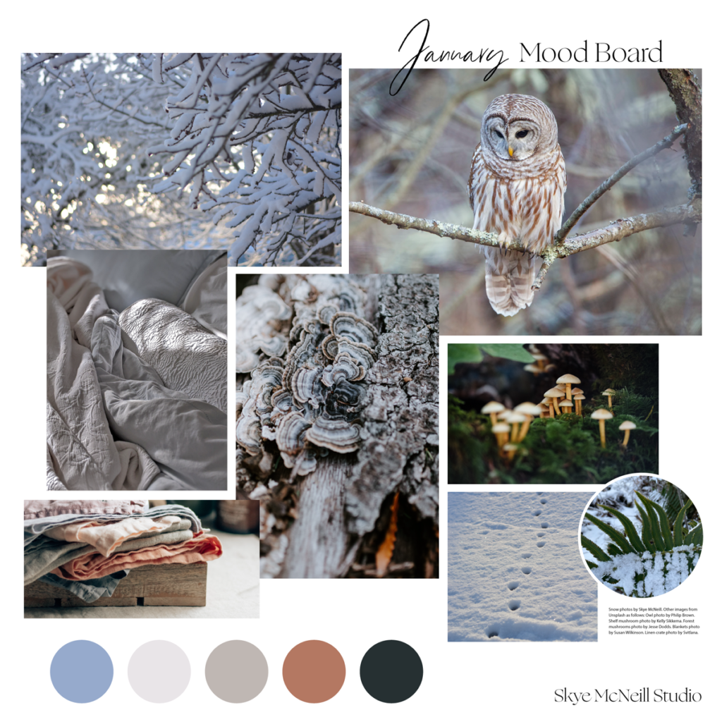 Image shows Skye's mood board for January: Winter Themes. Collaged images are of fresh snow on a thicket of branches with pale morning light through them, a beautiful barred owl on a branch, a cluster of tiny mushrooms on a mossy forest floor, animal tracks in fresh snow, snow on a fern, a cascade of shelf mushrooms against tree bark, a pile of natural dye linens, and a pile of textured white linens with dappled sunlight on them.  At the bottom is a five swatch color palette of an icy blue, a soft white, a taupe, a copper brown and a dark green-gray, all pulled from tones in the photographs. Text reads "January Mood Board" at the top and "Skye McNeill Studio" at the bottom, along with image credits to Skye and from Unsplash photographers: Philip Brown, Kelly Sikkema, Jesse Dodds, Susan Wilkinson and Svetlana.